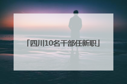 四川10名干部任新职