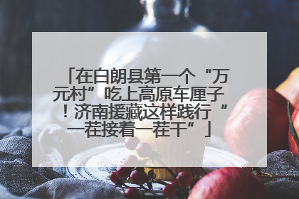 在白朗县第一个“万元村”吃上高原车厘子！济南援藏这样践行“一茬接着一茬干”
