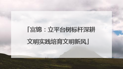 富锦：立平台树标杆深耕文明实践培育文明新风