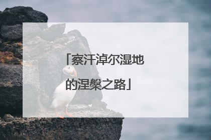 察汗淖尔湿地的涅槃之路
