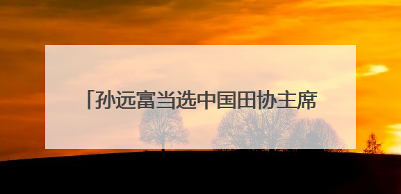 孙远富当选中国田协主席，王晓莹增补为副主席