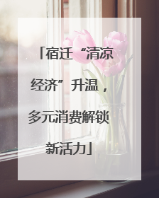 宿迁“清凉经济”升温，多元消费解锁新活力