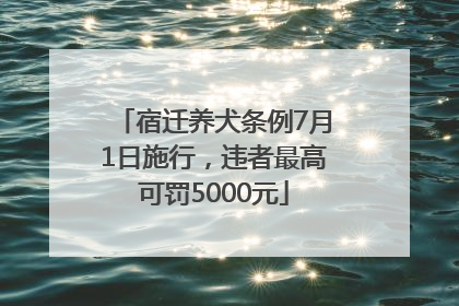 宿迁养犬条例7月1日施行，违者最高可罚5000元
