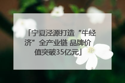 宁夏泾源打造“牛经济”全产业链 品牌价值突破35亿元