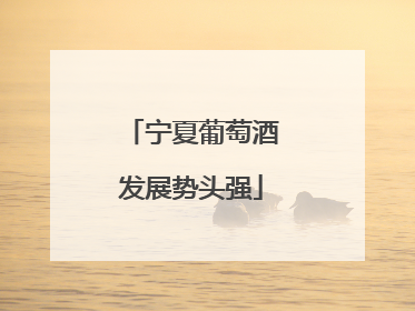 宁夏葡萄酒发展势头强