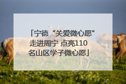 宁德“关爱微心愿”走进周宁 点亮110名山区学子微心愿