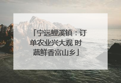 宁远鲤溪镇：订单农业兴大观 时蔬鲜香富山乡
