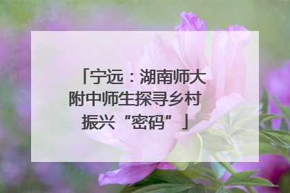 宁远：湖南师大附中师生探寻乡村振兴“密码”