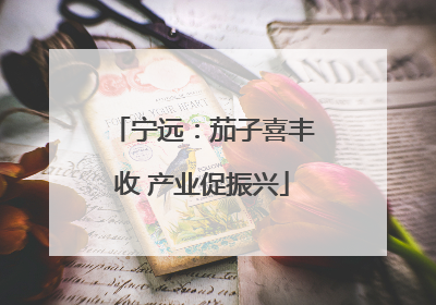 宁远：茄子喜丰收 产业促振兴
