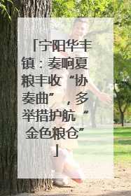 宁阳华丰镇：奏响夏粮丰收“协奏曲”，多举措护航“金色粮仓”