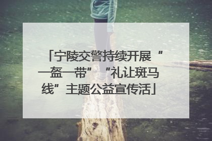宁陵交警持续开展“一盔一带”“礼让斑马线”主题公益宣传活