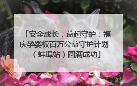 安全成长，益起守护：福庆孕婴板百万公益守护计划（蚌埠站）圆满成功