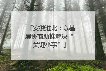 安徽淮北：以基层协商助推解决“关键小事”