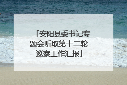 安阳县委书记专题会听取第十二轮巡察工作汇报