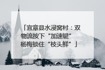 宜章县水浸窝村：双物流按下“加速键” 杨梅锁住“枝头鲜”