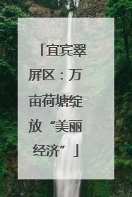 宜宾翠屏区：万亩荷塘绽放“美丽经济”