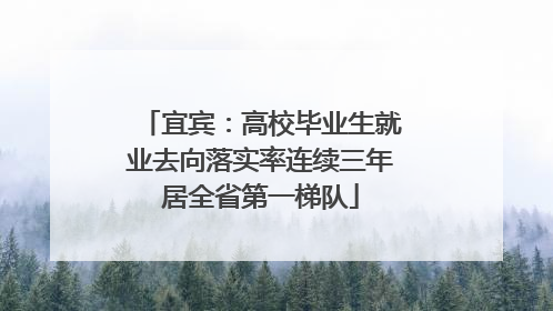宜宾：高校毕业生就业去向落实率连续三年居全省第一梯队