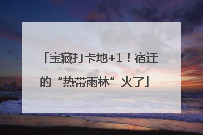 宝藏打卡地+1！宿迁的“热带雨林”火了