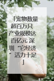 宠物数量超百万只 产业规模达百亿元 深圳“它经济”活力十足