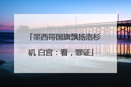 墨西哥国旗飘扬洛杉矶 白宫：看，罪证
