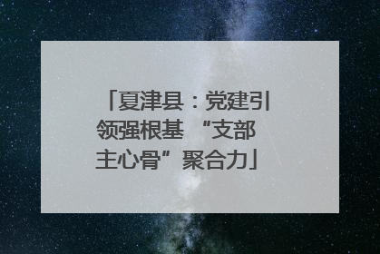 夏津县：党建引领强根基 “支部主心骨”聚合力