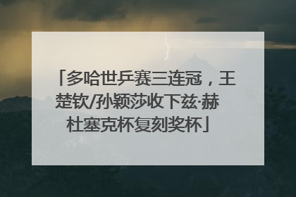 多哈世乒赛三连冠，王楚钦/孙颖莎收下兹·赫杜塞克杯复刻奖杯