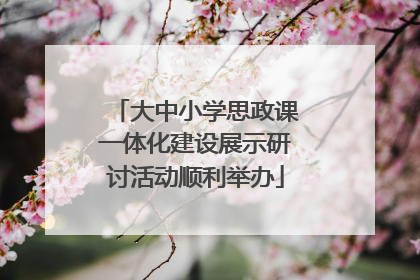 大中小学思政课一体化建设展示研讨活动顺利举办