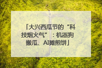 大兴西瓜节的“科技烟火气”：机器狗搬瓜、AI摊煎饼