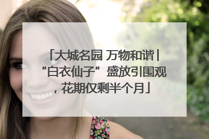 大城名园 万物和谐│“白衣仙子”盛放引围观，花期仅剩半个月