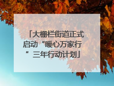 大栅栏街道正式启动“暖心万家行”三年行动计划