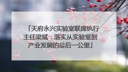 天府永兴实验室联席执行主任梁斌：落实从实验室到产业发展的最后一公里