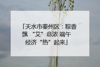 天水市秦州区：粽香飘 “艾”意浓 端午经济“热”起来