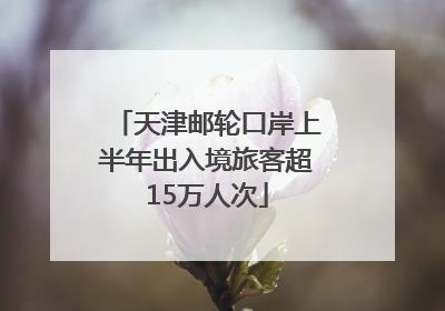 天津邮轮口岸上半年出入境旅客超15万人次