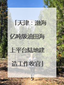 天津：渤海亿吨级油田海上平台陆地建造工作收官