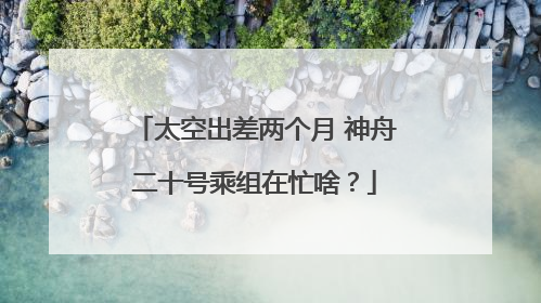 太空出差两个月 神舟二十号乘组在忙啥？