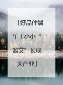 好品伴端午丨小小“潍艾”长成大产业