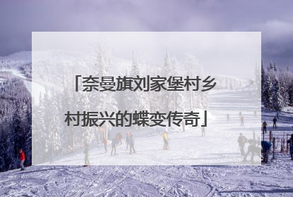 奈曼旗刘家堡村乡村振兴的蝶变传奇