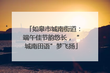 如皋市城南街道：端午佳节韵悠长，“城南田语”梦飞扬