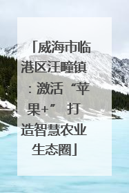 威海市临港区汪疃镇：激活“苹果+” 打造智慧农业生态圈
