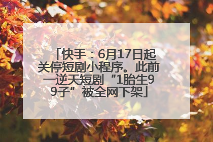 快手：6月17日起关停短剧小程序。此前一逆天短剧“1胎生99子”被全网下架