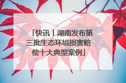 快讯丨湖南发布第三批生态环境损害赔偿十大典型案例