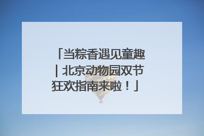 当粽香遇见童趣｜北京动物园双节狂欢指南来啦！