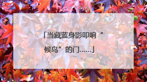 当藏蓝身影叩响“候鸟”的门……
