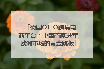 德国OTTO跨境电商平台：中国商家进军欧洲市场的黄金跳板