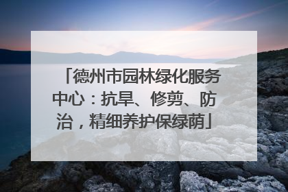 德州市园林绿化服务中心：抗旱、修剪、防治，精细养护保绿荫