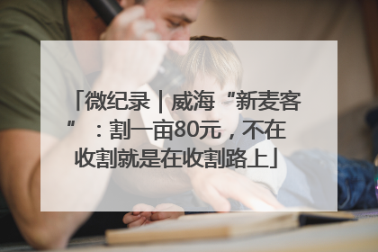 微纪录｜威海“新麦客”：割一亩80元，不在收割就是在收割路上