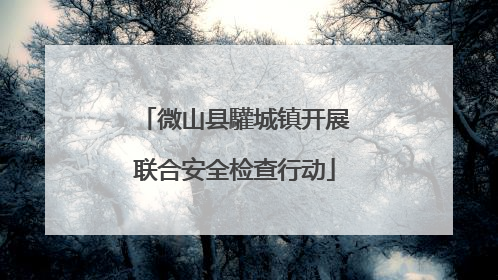微山县驩城镇开展联合安全检查行动