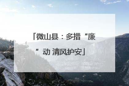 微山县：多措“廉”动 清风护安