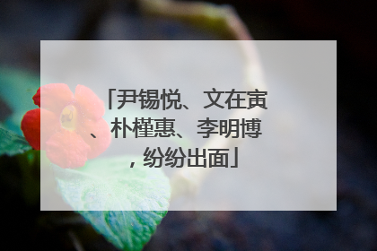 尹锡悦、文在寅、朴槿惠、李明博，纷纷出面