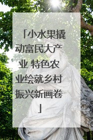 小水果撬动富民大产业 特色农业绘就乡村振兴新画卷